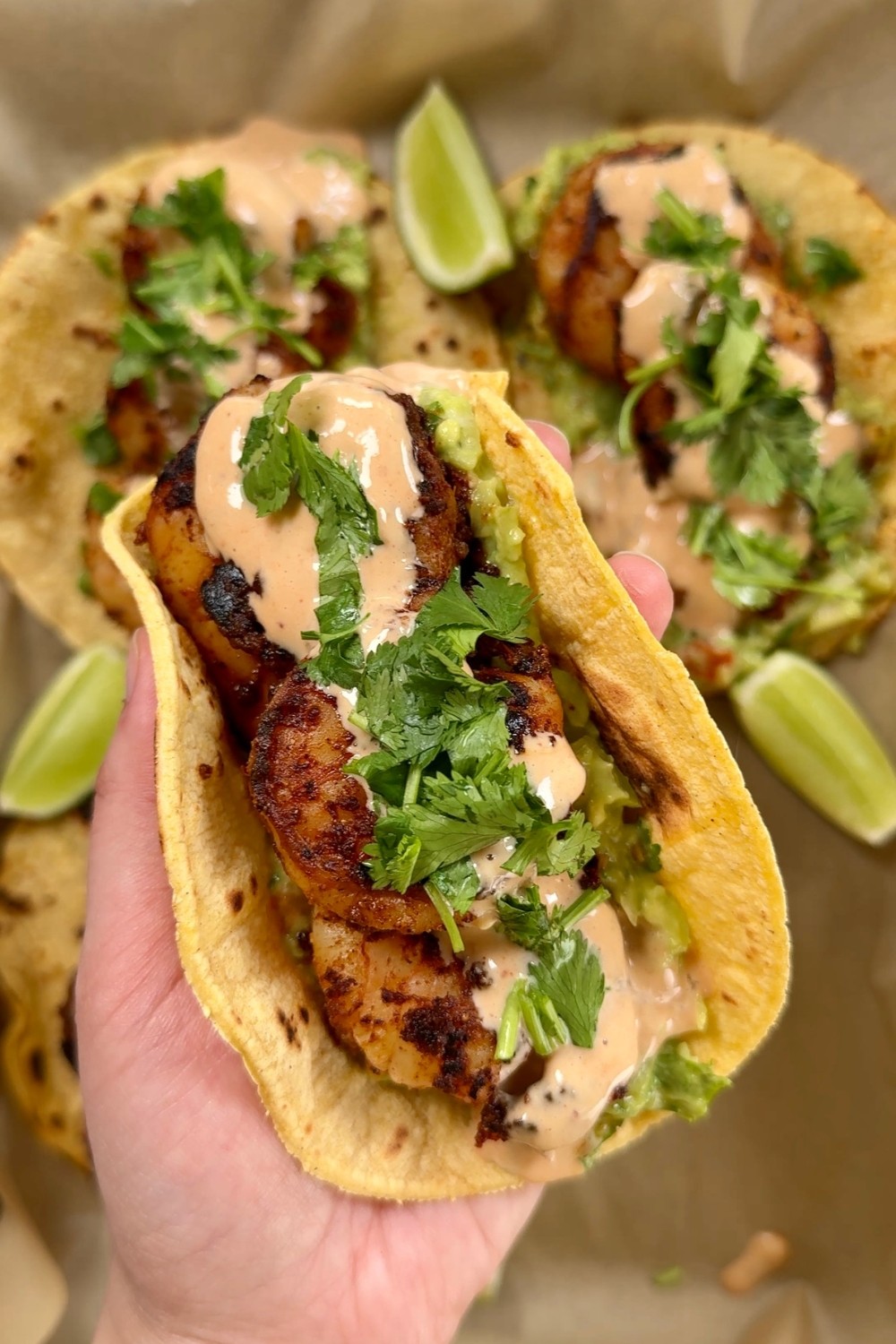 Hand holding up a chili lime shrimp taco, showing the shrimp, sauce, guacamole, and cilantro inside a lightly toasted corn tortilla.